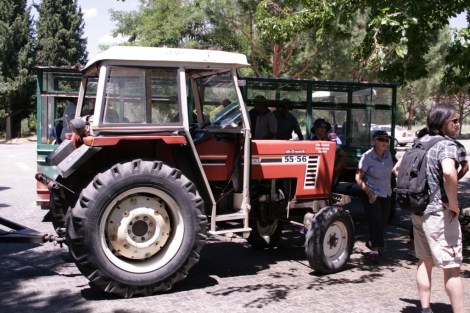 20130606-085743.jpg
