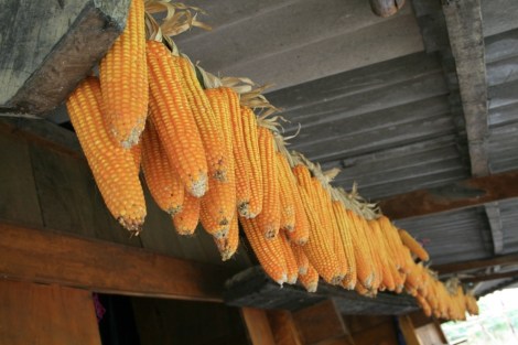 20130808-215852.jpg