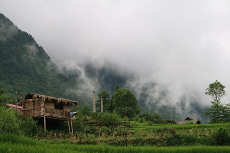 20130808-220242.jpg
