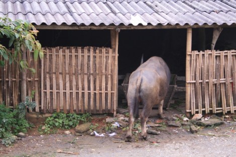 20130808-220755.jpg